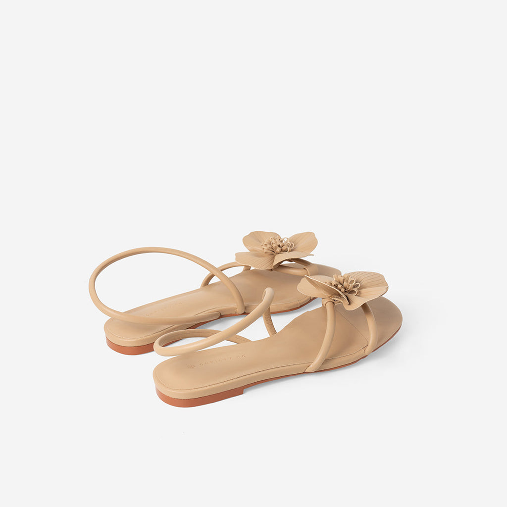 Latte Brown
